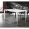 Extendable table, tempered glass top, metal structure