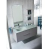 Rovigo bathroom, depth 50 cm, color Terranova Opaco, Platino Opaco
