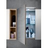 Goran bathroom depth 50 cm, color Glossy Light Gray, Natural Oak