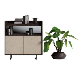 Tray Sideboard 124 cm wide 2 doors with push pull opening