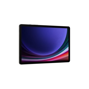 Samsung Galaxy Tab S9 SM-X710N 256 GB 11" Qualcomm Snapdragon 12 GB Wi-Fi 6 (802.11ax) Android 13 Graphite