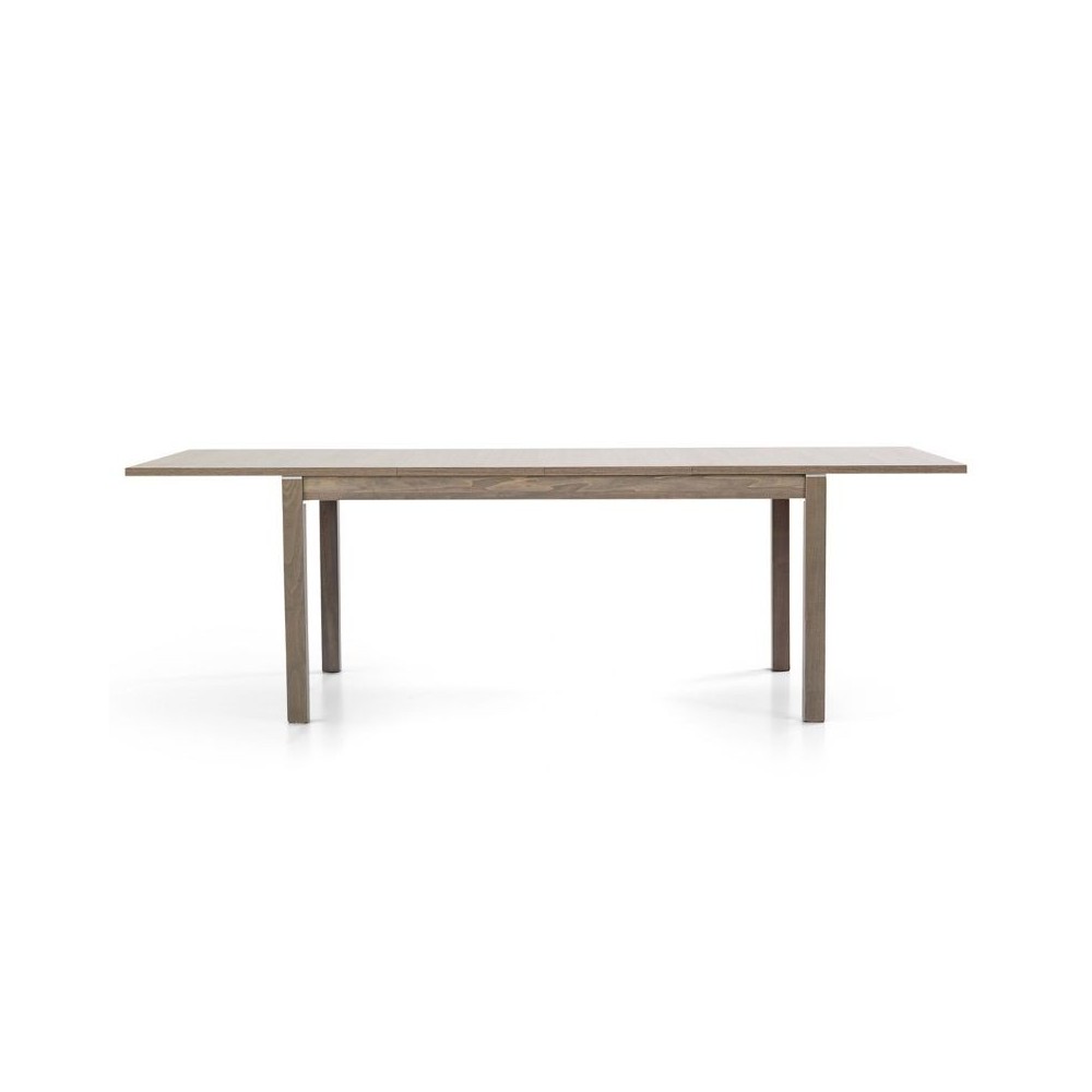 Fans 2 modern rectangular table in gray oak