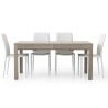 Rectangular table in gray oak laminate, with 4 extensions of 43